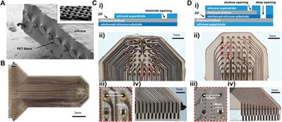 High-Density, Actively Multiplexed µECoG Array on Reinforced Silicone Substrate